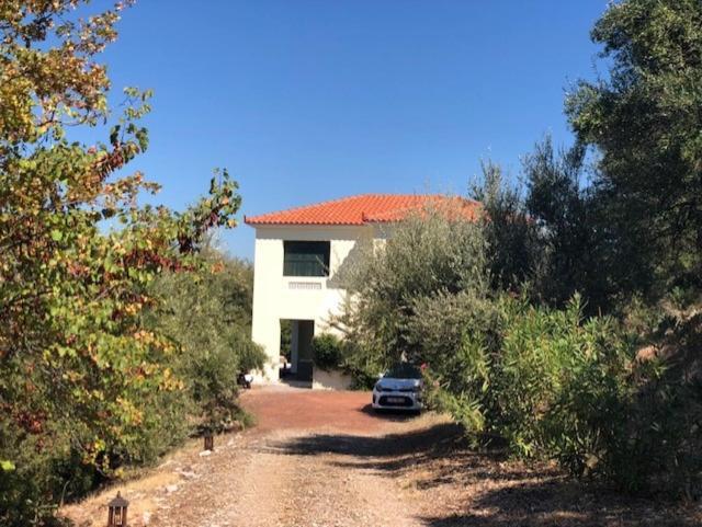 Kyparissia De Wandelboom Villa Vrises  Exterior photo
