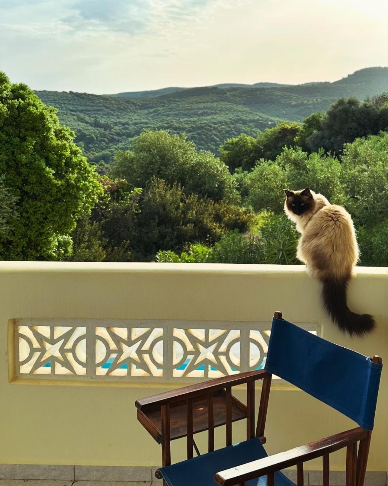 Kyparissia De Wandelboom Villa Vrises  Exterior photo